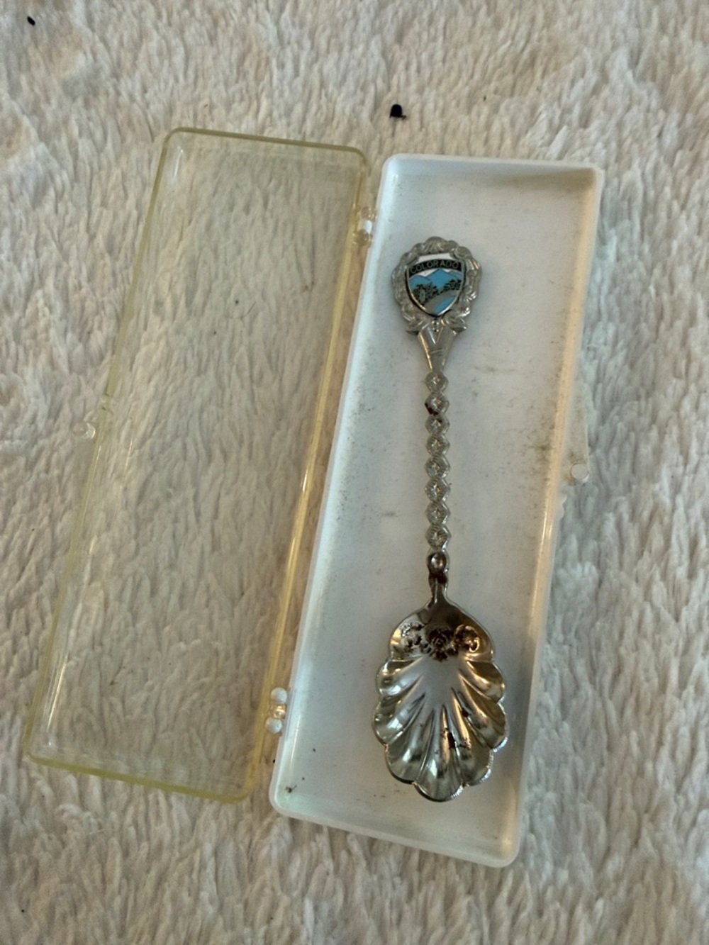 Ornate Silver-Tone Colorado Collectible Spoon in Silver with Mountain Tree Scene